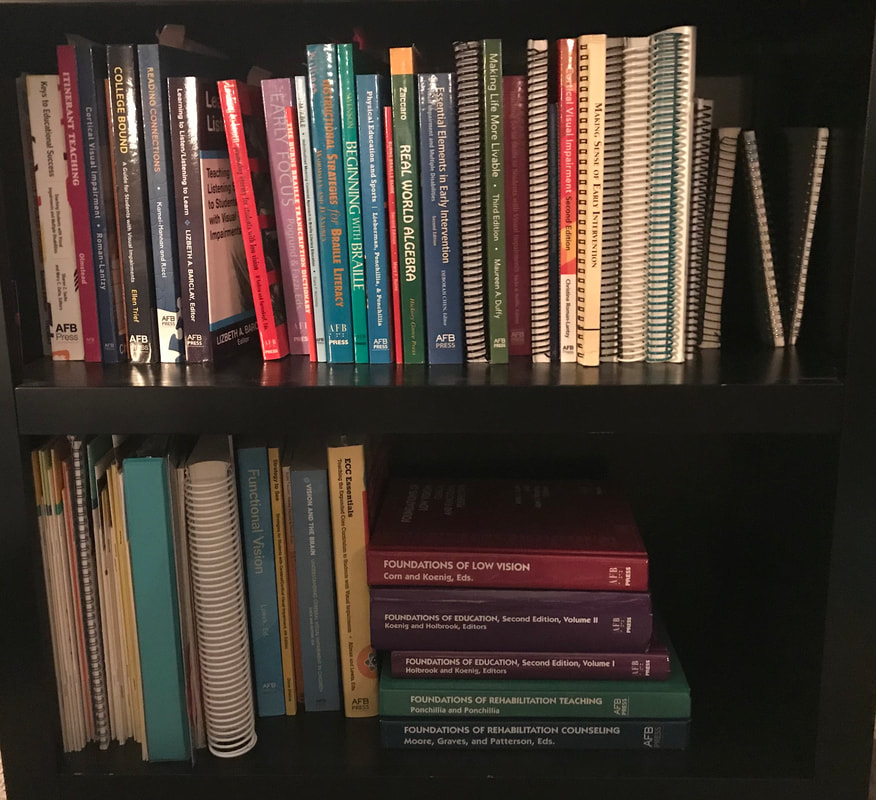 Vision Resource Books on a bookshelf