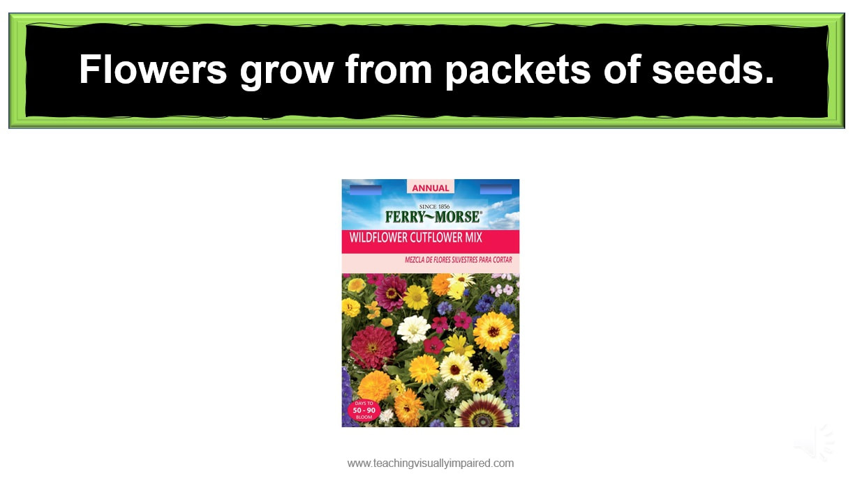 single seed packet on a slide with simple text