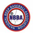 National Beep Baseball Association logo
