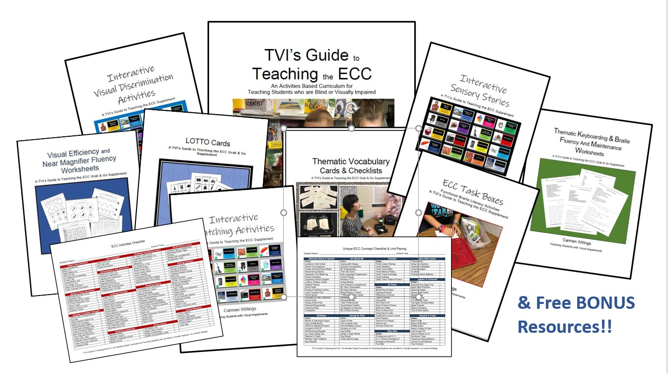 TVI's Guide to Teaching the ECC book resources