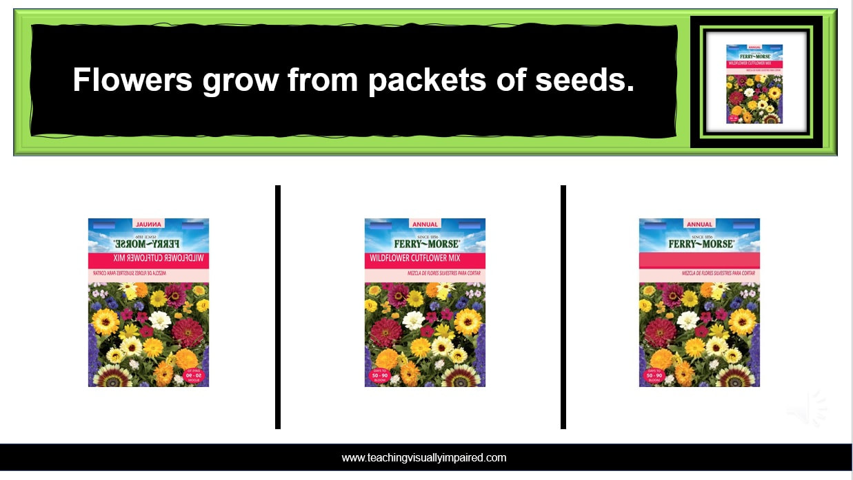 example from Springtime showing 3 seed packets